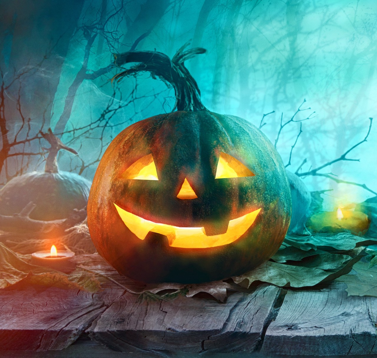 A Halloween must have!